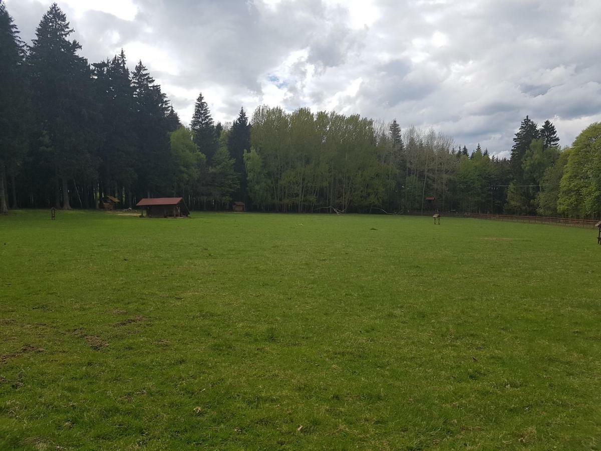 Pension Villa Berolina Mariánské Lázně Exteriör bild
